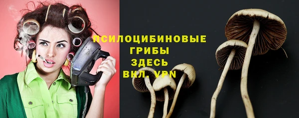 герыч Алексин
