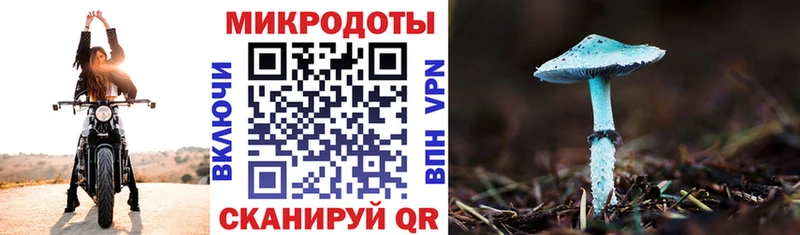 Галлюциногенные грибы MAGIC MUSHROOMS  KRAKEN tor  Берёзовка 
